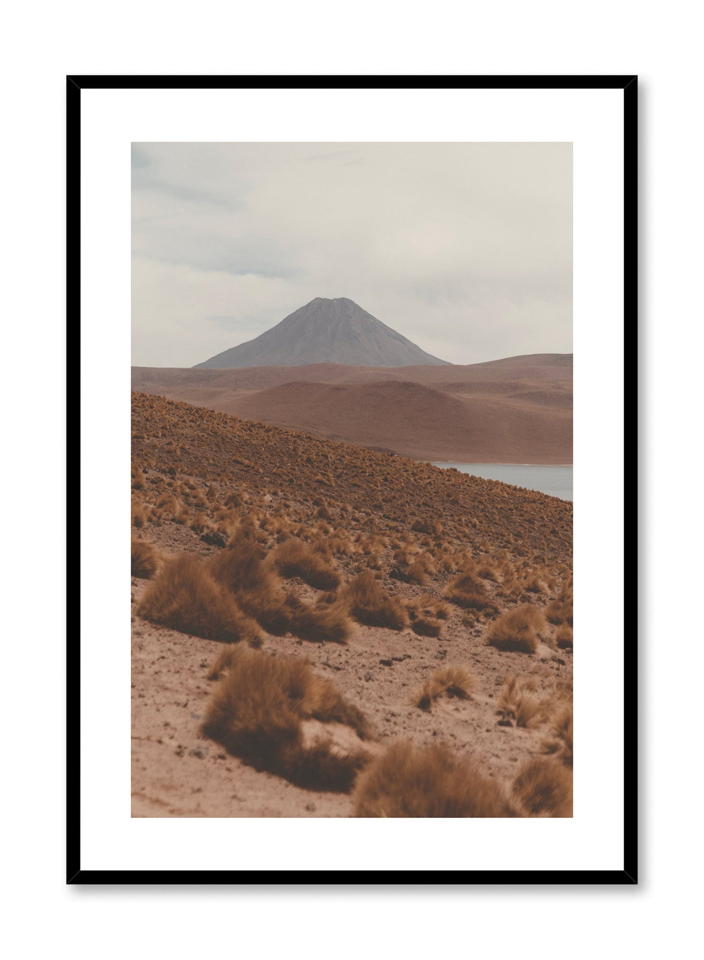 Laguna Miscanti, Poster